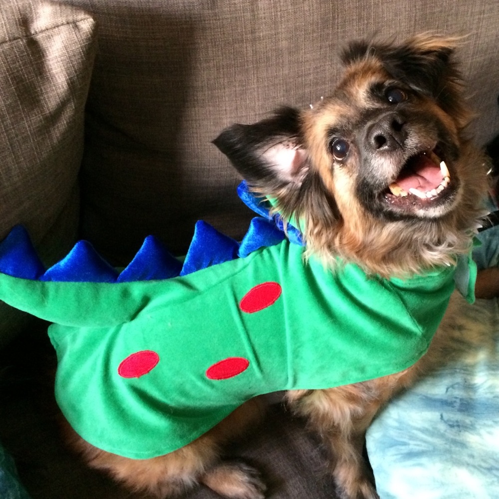 Dog Dino Costume